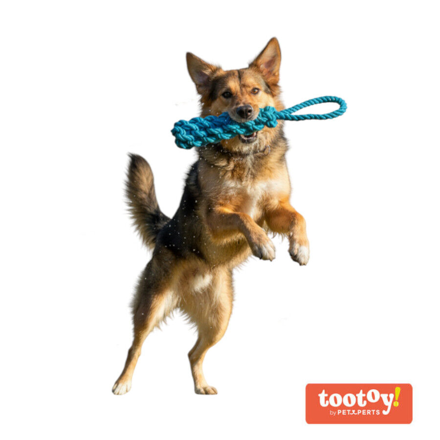 Tootoy! Pull Mordedor de corda para c&atilde;es, , large Imagem n&uacute;mero 8