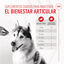 Royal Canin Joint & Aging Chews Suplemento Nutricional para cães com sensibilidade articular, , large Indicador imagem número 5