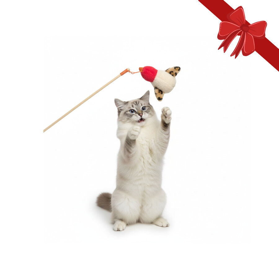 Wonder Christmas Vara com Brinquedo de Natal para Gatos, , large Imagem n&uacute;mero 1