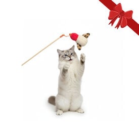 Wonder Christmas Vara com Brinquedo de Natal para Gatos