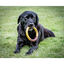 Nylabone Extreme Chew Ring Mordedor Redondo com Sabor a Hambúrguer para cães, , large Indicador imagem número 2