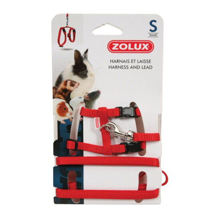 Zolux Arnês Vermelho com trela para roedores,  Imagem número 1 Zolux Arnês Vermelho com trela para roedores, , large Imagem número 1