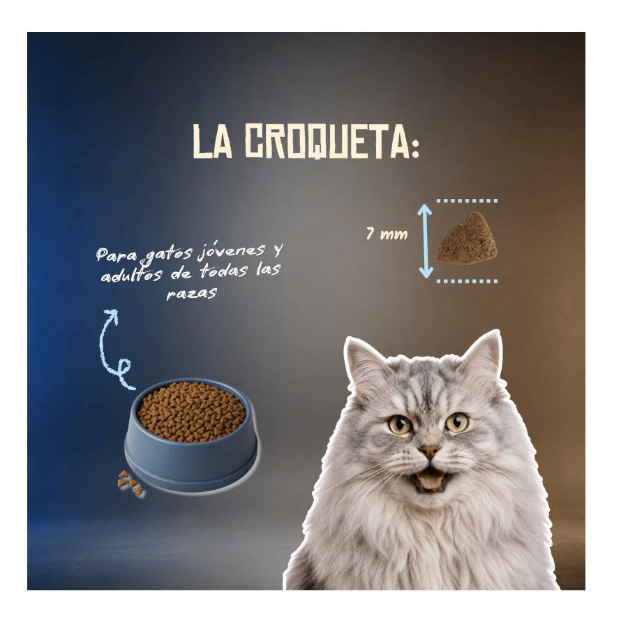 2 Kg Lenda Grain Free Ra&ccedil;&atilde;o de Porco, Salm&atilde;o e Krill para gatos, , large Imagem n&uacute;mero 6