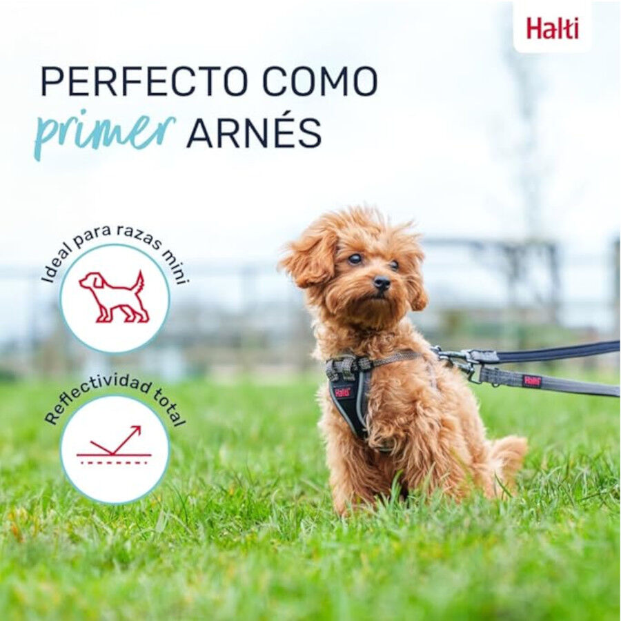 Halti Peitoral Anat&oacute;mico Cinza para C&atilde;es Pequenos, , large Imagem n&uacute;mero 3