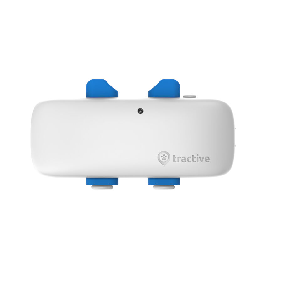 Tractive Localizador GPS para c&atilde;es, , large Imagem n&uacute;mero 4