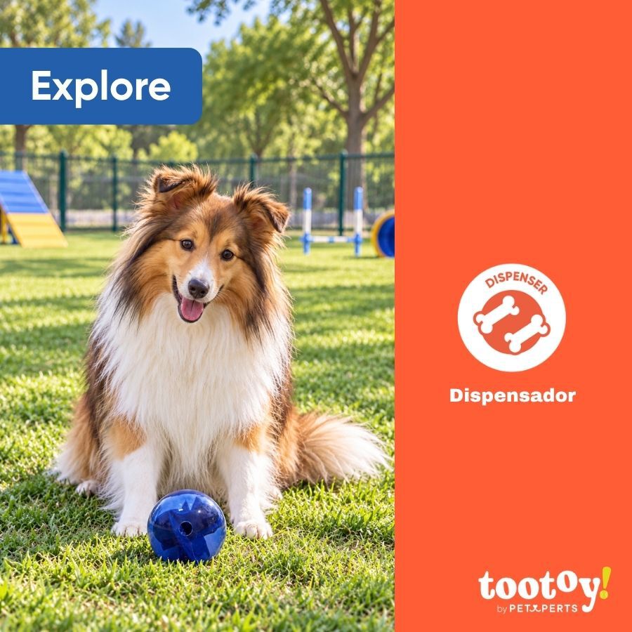 Tootoy! Explore Bola Labirinto Dispensadora de Snacks para c&atilde;es, , large Imagem n&uacute;mero 4