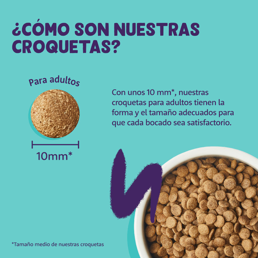 2 kg Edgard & Cooper Adult Ra&ccedil;&atilde;o de peru e frango para gatos , , large Imagem n&uacute;mero 4