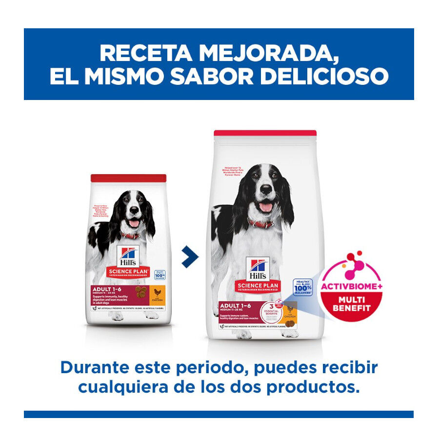 2 x 14 kg Hill's Science Plan Adult Medium Frango ra&ccedil;&atilde;o para c&atilde;es Pack poupan&ccedil;a!, , large Imagem n&uacute;mero 3