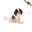 1 pacote Wonder Christmas Peda&ccedil;os de Frango Snacks para C&atilde;es, , large Indicador imagem n&uacute;mero 1