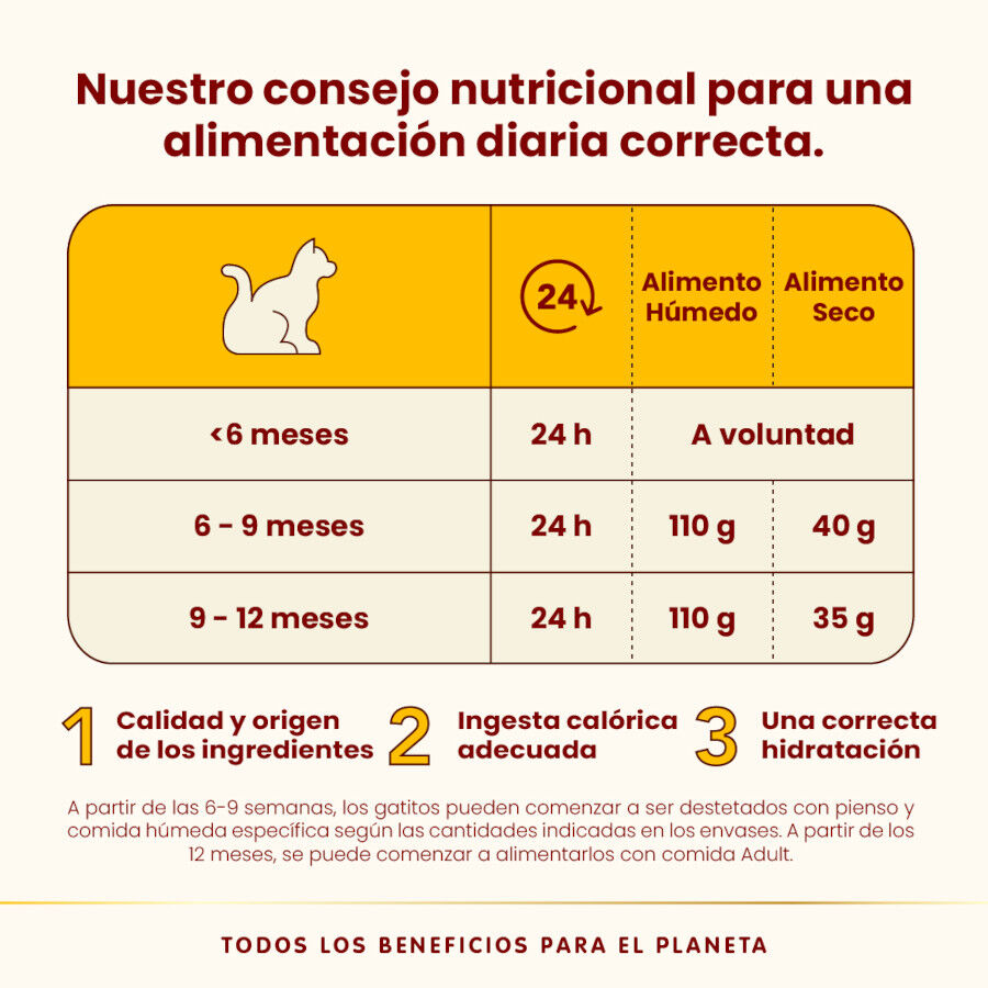 70 g Almo Nature Kitten HFC Frango lata para gatos, , large Imagem n&uacute;mero 4