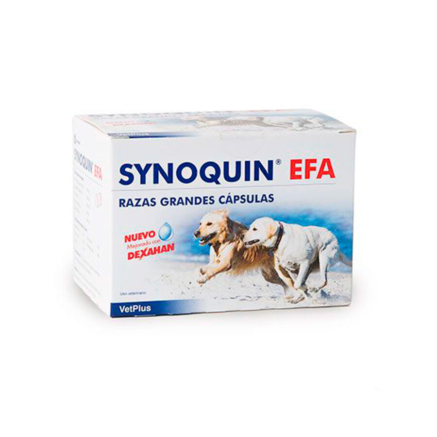 VetPlus Synoquin EFA Condroprotetor em C&aacute;psulas para c&atilde;es de ra&ccedil;as grandes, , large Imagem n&uacute;mero 1