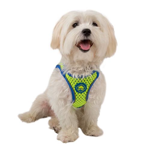 TK-Pet Easy Click lima arn&eacute;s para perros Imagem n&uacute;mero 1