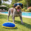 Summer Vibes Plush Ring Brinquedo para c&atilde;es, , large Indicador imagem n&uacute;mero 1