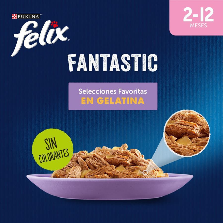 4 saquetas x 85 g Felix Junior Fantastic Carne e Peixe em Geleia saqueta - Multipack, , large Imagem n&uacute;mero 2