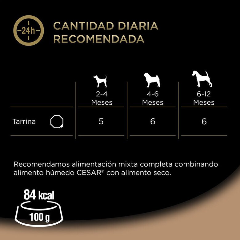 150 g Cesar Peru e Vitela Terrina em Geleia para Cachorros,  Imagem número 3 150 g Cesar Peru e Vitela Terrina em Geleia para Cachorros, , large Imagem número 3
