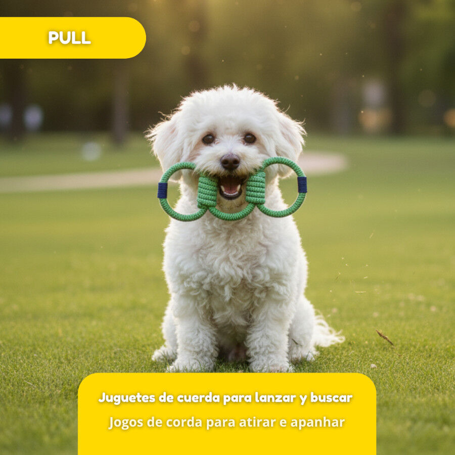 Tootoy! Pull Brinquedo de corda com tr&ecirc;s n&oacute;s para c&atilde;es, , large Imagem n&uacute;mero 5