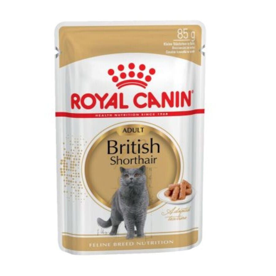 85 g Royal Canin comida h&uacute;mida British Shorthair Adult, , large Imagem n&uacute;mero 1