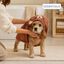 Bloob Teddy Roup&atilde;o de Banho Castanho para c&atilde;es, , large Indicador imagem n&uacute;mero 7
