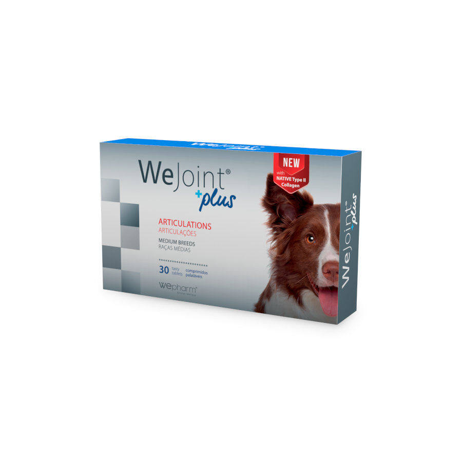 Wepharm Wejoint Plus Ra&ccedil;as M&eacute;dias Suplemento para c&atilde;es, , large Imagem n&uacute;mero 1