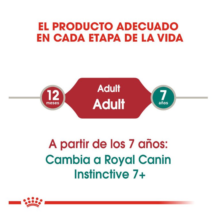 85 g Royal Canin Instinctive alimento húmido em molho saquetas para gatos,  Imagem número 6 85 g Royal Canin Instinctive alimento húmido em molho saquetas para gatos, , large Imagem número 6