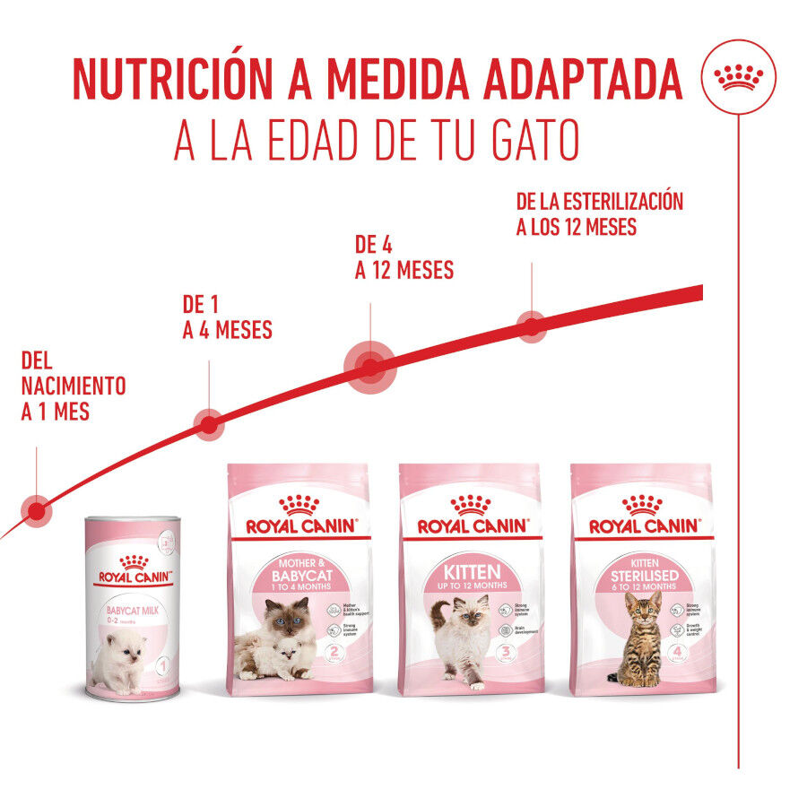 10 kg Royal Canin Kitten ra&ccedil;&atilde;o para gatos, , large Imagem n&uacute;mero 10