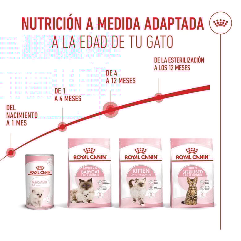 10 kg Royal Canin Kitten ração para gatos,  Imagem número 10 10 kg Royal Canin Kitten ração para gatos, , large Imagem número 10