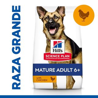 Hill's Science Plan Mature Adult Large Frango ração para cães