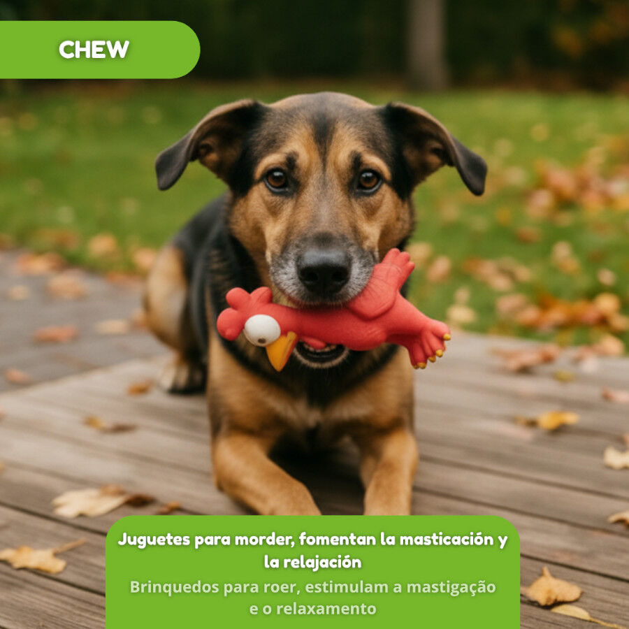 Tootoy! Chew Brinquedo galinha divertida para c&atilde;es, , large Imagem n&uacute;mero 5