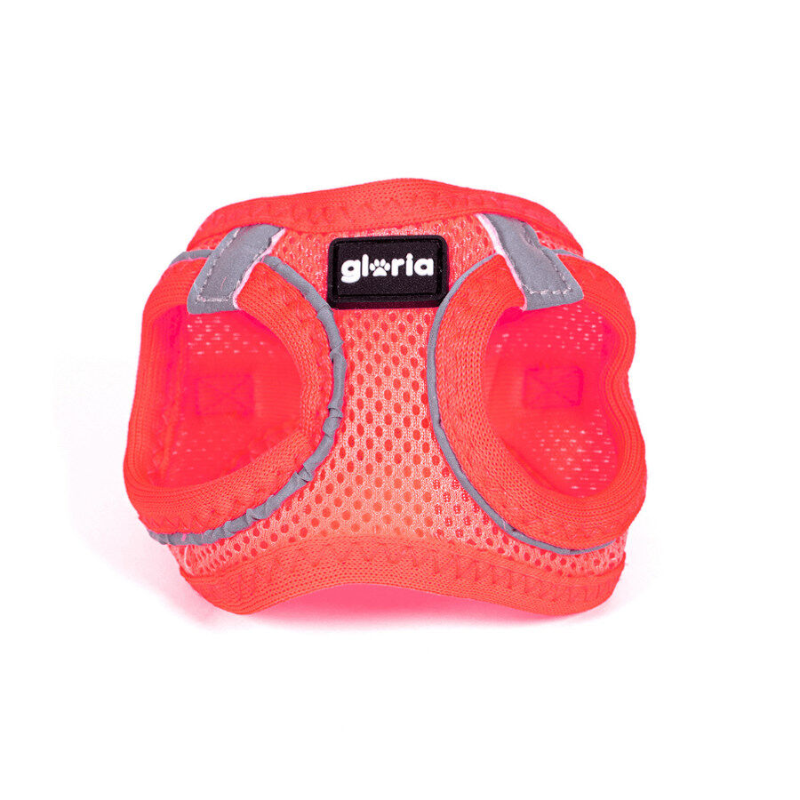 Gloria Air Mesh Trek Star Peitoral Rosa para c&atilde;es, , large Imagem n&uacute;mero 2