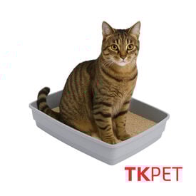 TK Pet Caixa de areia Essential W para gatos