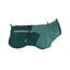 Non-stop Dogwear Capa de Chuva Imperme&aacute;vel Azul e Verde para c&atilde;es, , large Indicador imagem n&uacute;mero 1