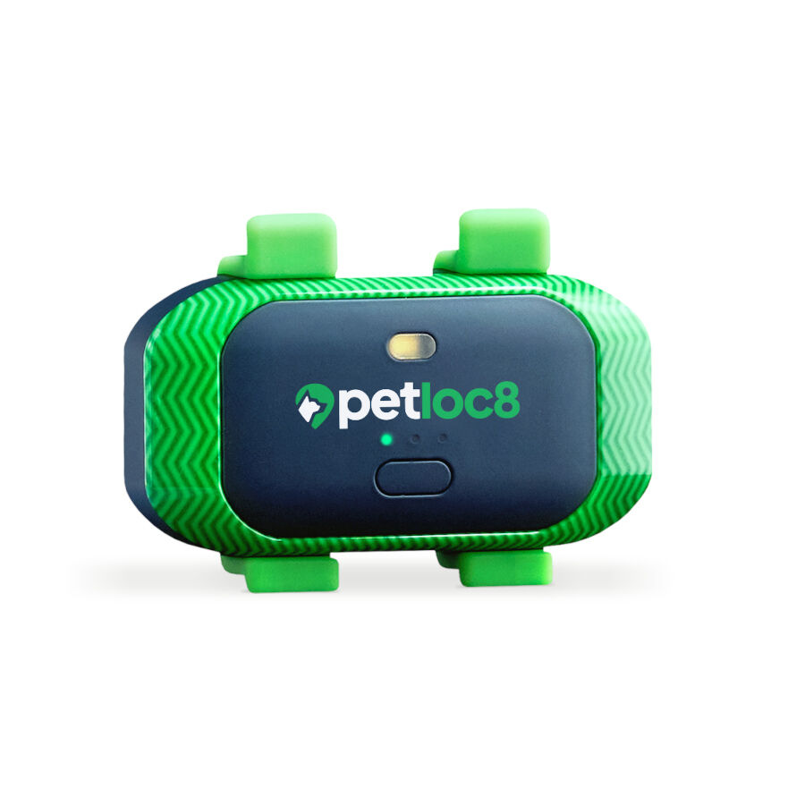 Tracktimo Petloc8 4G Rastreador GPS para c&atilde;es e gatos, , large Imagem n&uacute;mero 1
