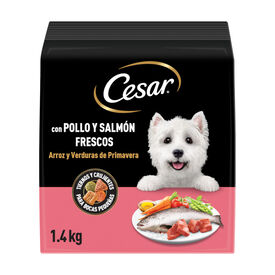 Cesar Frango e salmão frescos ração semi-húmida para cães