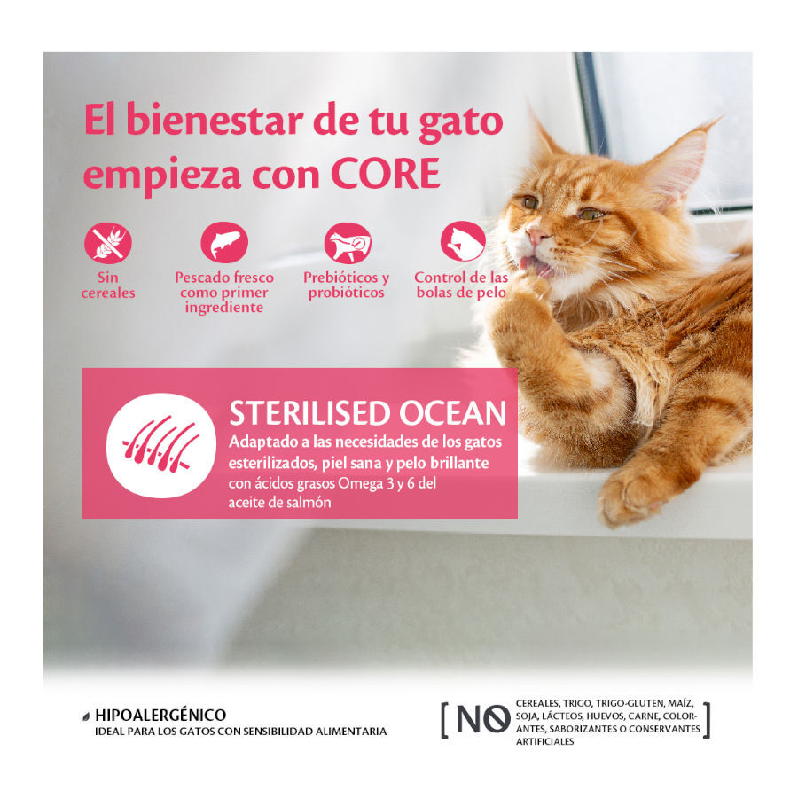 1.75 kg Wellness Core Adult Sterilised Ocean Salm&atilde;o ra&ccedil;&atilde;o para gatos, , large Imagem n&uacute;mero 2