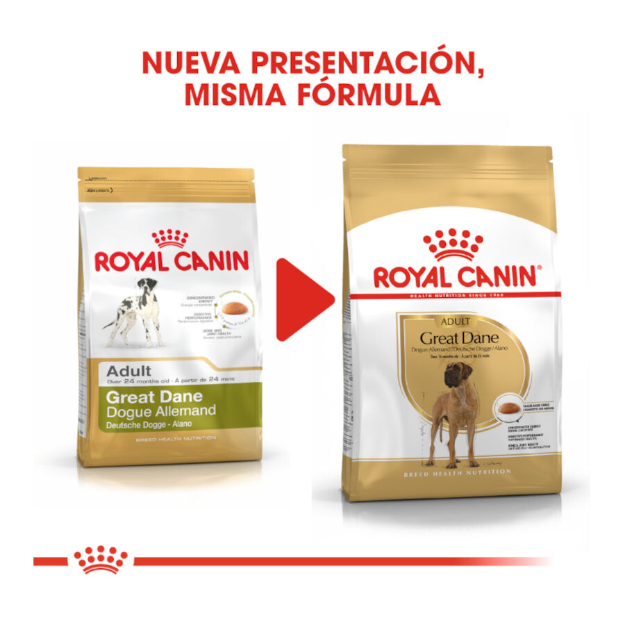 12 kg Royal Canin Adult Dogue Alem&atilde;o ra&ccedil;&atilde;o para c&atilde;es, , large Imagem n&uacute;mero 3