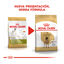 12 kg Royal Canin Adult Dogue Alemão ração para cães, , large Indicador imagem número 3