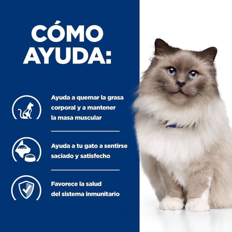 3 kg Hill's Prescription Diet r/d Weight Loss Frango ração para gatos,  Imagem número 4 3 kg Hill's Prescription Diet r/d Weight Loss Frango ração para gatos, , large Imagem número 4