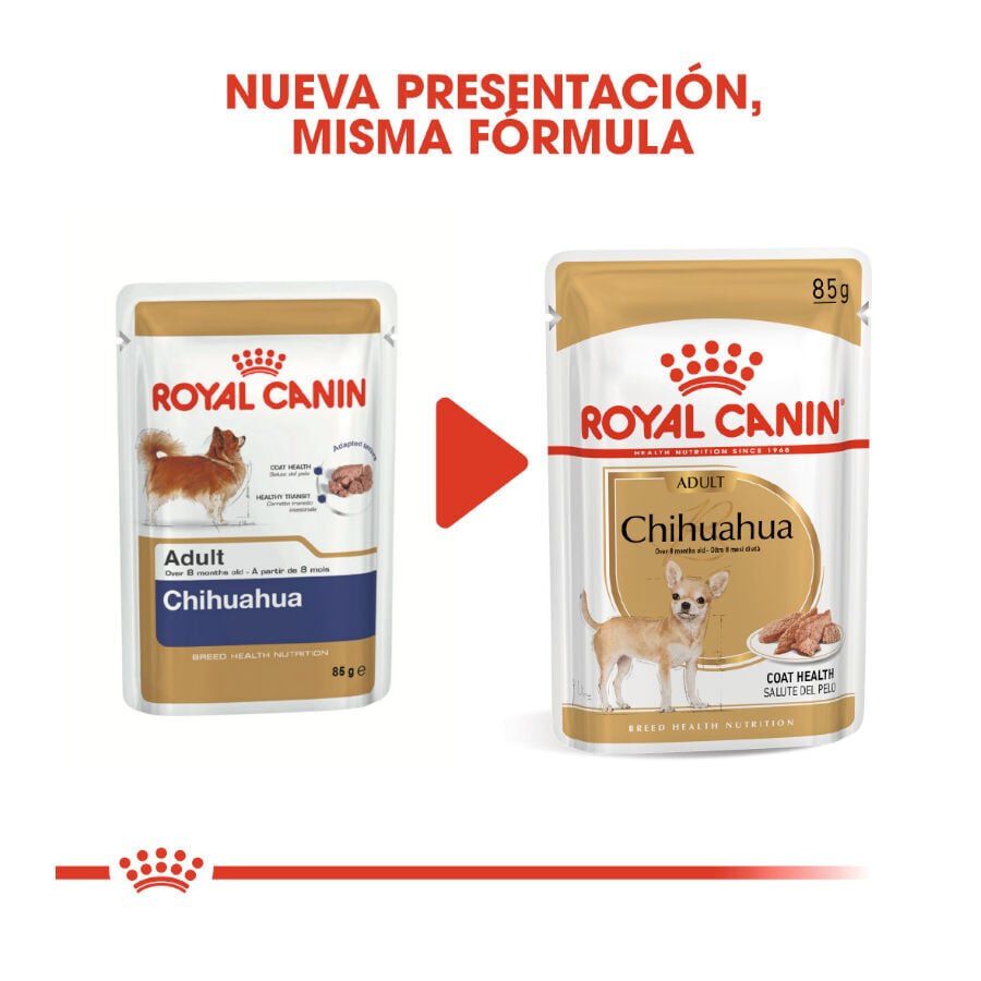 85 g Royal Canin Adult Chihuahua pat&ecirc; em saquetas para c&atilde;es, , large Imagem n&uacute;mero 3