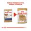 85 g Royal Canin Adult Chihuahua patê em saquetas para cães, , large Indicador imagem número 3