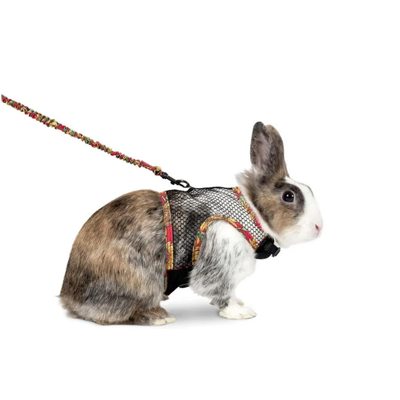 Flamingo Art Joy Arnês com Trela para furões e cobaias,  Imagem número 1 Flamingo Art Joy Arnês com Trela para furões e cobaias, , large Imagem número 1