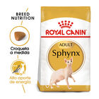 Royal Canin Adult Sphynx ração para gatos, , large image number null