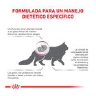 Royal Canin Veterinary Renal ração para gatos , , large image number null