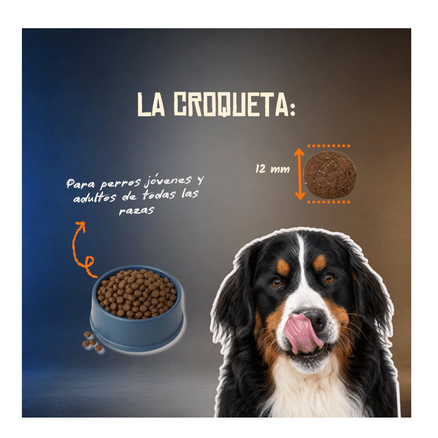 2 Kg Lenda Grain Free Ra&ccedil;&atilde;o de Peru e Pato para c&atilde;es, , large Imagem n&uacute;mero 5