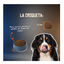 2 Kg Lenda Grain Free Ra&ccedil;&atilde;o de Peru e Pato para c&atilde;es, , large Indicador imagem n&uacute;mero 5