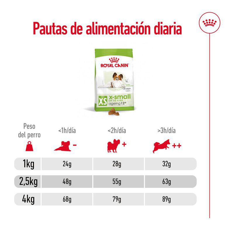 1.5 kg Royal Canin X-Small Ageing 12+ Adult ra&ccedil;&atilde;o para c&atilde;es, , large Imagem n&uacute;mero 10