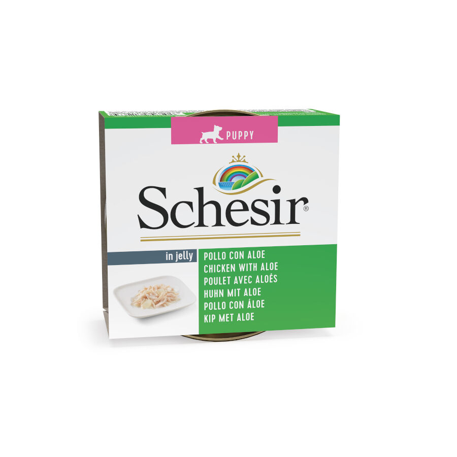 150 g Schesir Puppy Frango com Alo&eacute; lata para c&atilde;es, , large Imagem n&uacute;mero 1