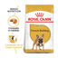 3 kg Royal Canin Adult Buldogue Francês ração para cães, , large Indicador imagem número 2
