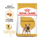Royal Canin Adult French Bulldog ração para cães, , large image number null
