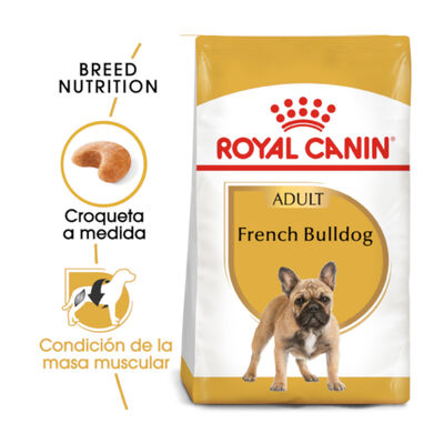 Royal Canin Adult French Bulldog ração para cães