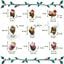 Wonder Christmas Cole&ccedil;&atilde;o capivara Brinquedo para c&atilde;es, , large Indicador imagem n&uacute;mero 4
